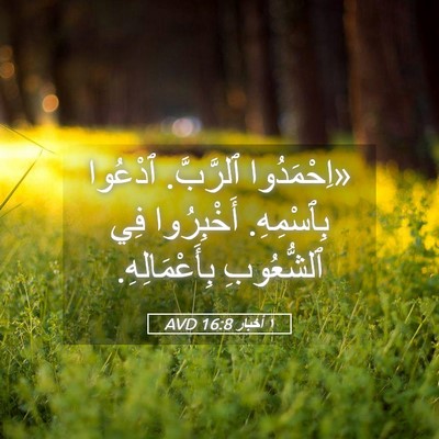 Picture 05 - ١ أخبار 16:8 AVD - «اِحْمَدُوا ٱلرَّبَّ. - Bible Verse Picture