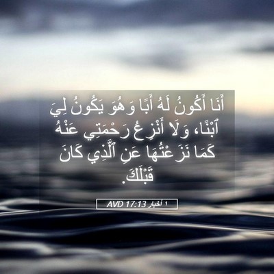 Picture 05 - ١ أخبار 17:13 AVD - أَنَا أَكُونُ لَهُ أَبًا - Bible Verse Picture