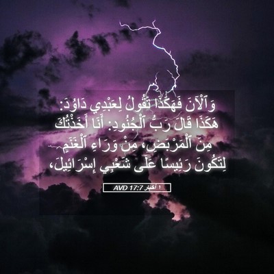 Picture 05 - ١ أخبار 17:7 AVD - وَٱلْآنَ فَهَكَذَا - Bible Verse Picture