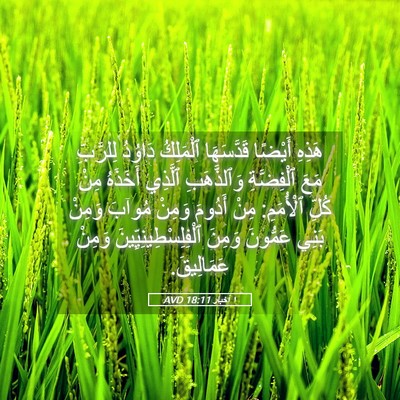 Picture 05 - ١ أخبار 18:11 AVD - هَذِهِ أَيْضًا قَدَّسَهَا - Bible Verse Picture