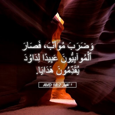 Picture 05 - ١ أخبار 18:2 AVD - وَضَرَبَ مُوآبَ، فَصَارَ - Bible Verse Picture