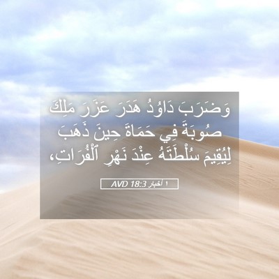 Picture 05 - ١ أخبار 18:3 AVD - وَضَرَبَ دَاوُدُ هَدَرَ - Bible Verse Picture