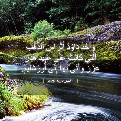 Picture 05 - ١ أخبار 18:7 AVD - وَأَخَذَ دَاوُدُ - Bible Verse Picture