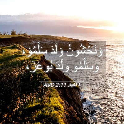Picture 05 - ١ أخبار 2:11 AVD - وَنَحْشُونُ وَلَدَ - Bible Verse Picture