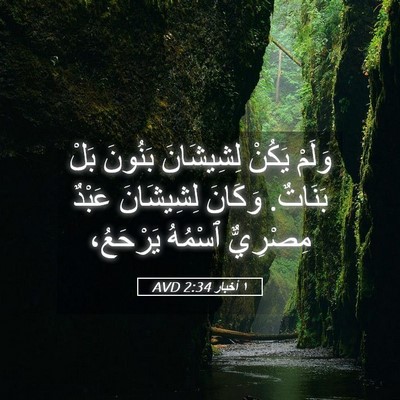 Picture 05 - ١ أخبار 2:34 AVD - وَلَمْ يَكُنْ لِشِيشَانَ - Bible Verse Picture