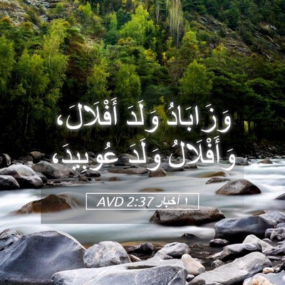 Picture 05 - ١ أخبار 2:37 AVD - وَزَابَادُ وَلَدَ - Bible Verse Picture