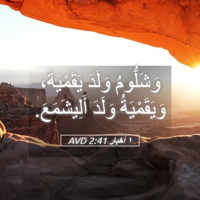 Picture 05 - ١ أخبار 2:41 AVD - وَشَلُّومُ وَلَدَ - Bible Verse Picture