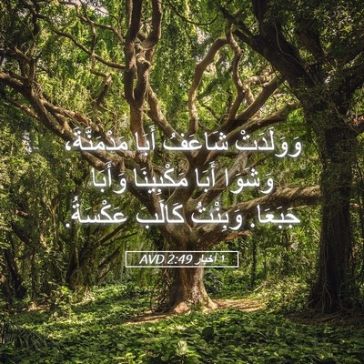 Picture 05 - ١ أخبار 2:49 AVD - وَوَلَدَتْ شَاعَفُ أَبَا - Bible Verse Picture