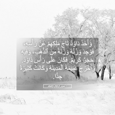 Picture 05 - ١ أخبار 20:2 AVD - وَأَخَذَ دَاوُدُ تَاجَ - Bible Verse Picture