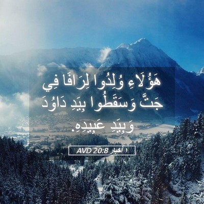 Picture 05 - ١ أخبار 20:8 AVD - هَؤُلَاءِ وُلِدُوا - Bible Verse Picture