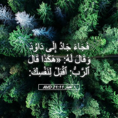 Picture 05 - ١ أخبار 21:11 AVD - فَجَاءَ جَادُ إِلَى - Bible Verse Picture