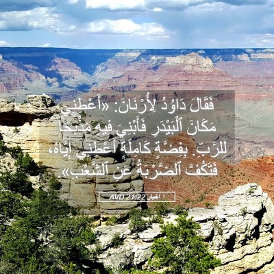 Picture 05 - ١ أخبار 21:22 AVD - فَقَالَ دَاوُدُ - Bible Verse Picture