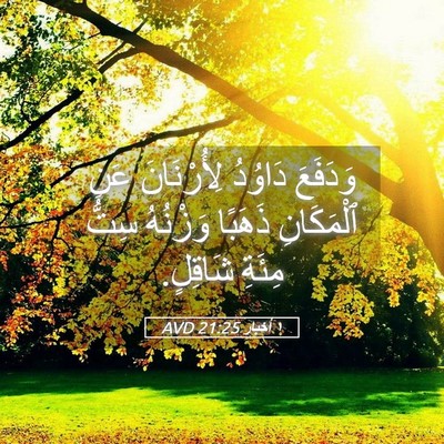 Picture 05 - ١ أخبار 21:25 AVD - وَدَفَعَ دَاوُدُ - Bible Verse Picture