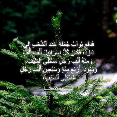 Picture 05 - ١ أخبار 21:5 AVD - فَدَفَعَ يُوآبُ جُمْلَةَ - Bible Verse Picture