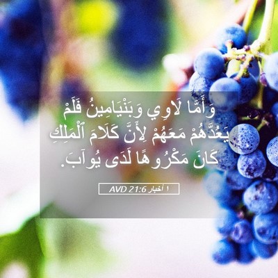 Picture 05 - ١ أخبار 21:6 AVD - وَأَمَّا لَاوِي - Bible Verse Picture