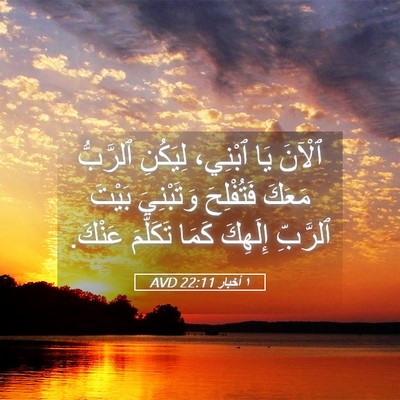 Picture 05 - ١ أخبار 22:11 AVD - ٱلْآنَ يَا ٱبْنِي، - Bible Verse Picture