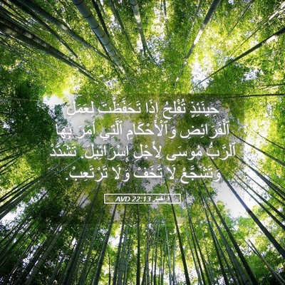 Picture 05 - ١ أخبار 22:13 AVD - حِينَئِذٍ تُفْلِحُ إِذَا - Bible Verse Picture