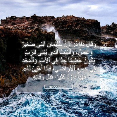 Picture 05 - ١ أخبار 22:5 AVD - وَقَالَ دَاوُدُ: «إِنَّ - Bible Verse Picture