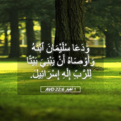Picture 05 - ١ أخبار 22:6 AVD - وَدَعَا سُلَيْمَانَ - Bible Verse Picture