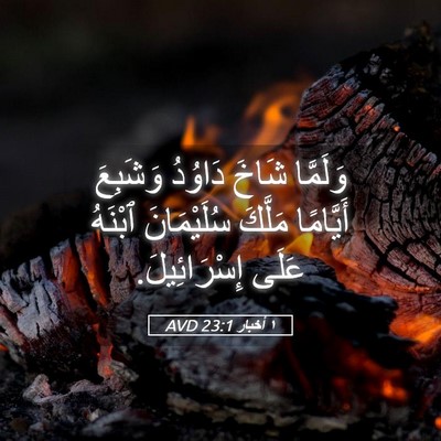 Picture 05 - ١ أخبار 23:1 AVD - وَلَمَّا شَاخَ دَاوُدُ - Bible Verse Picture