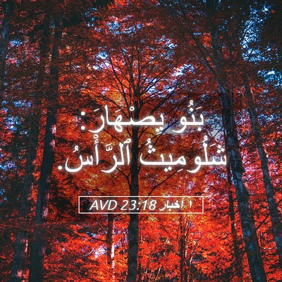 Picture 05 - ١ أخبار 23:18 AVD - بَنُو يِصْهَارَ: - Bible Verse Picture