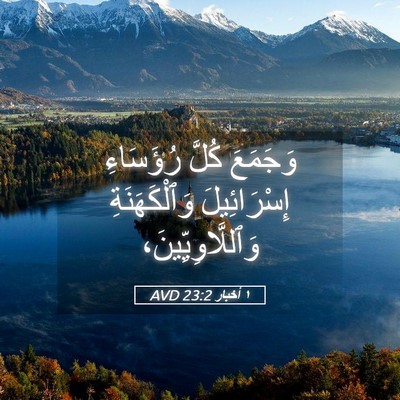 Picture 05 - ١ أخبار 23:2 AVD - وَجَمَعَ كُلَّ رُؤَسَاءِ - Bible Verse Picture