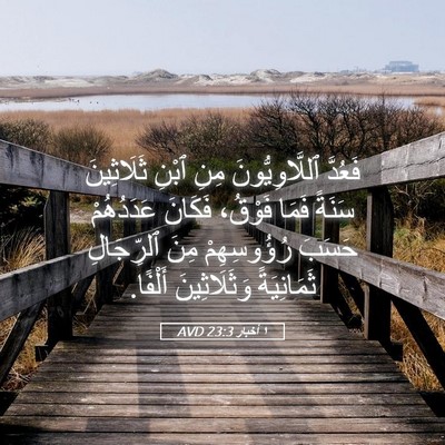 Picture 05 - ١ أخبار 23:3 AVD - فَعُدَّ ٱللَّاوِيُّونَ - Bible Verse Picture
