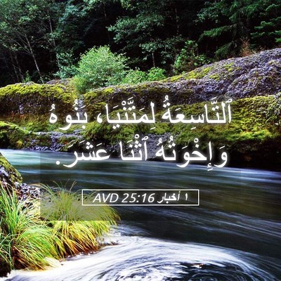 Picture 05 - ١ أخبار 25:16 AVD - ٱلتَّاسِعَةُ - Bible Verse Picture