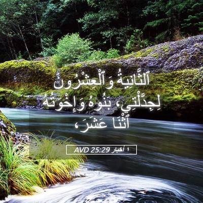 Picture 05 - ١ أخبار 25:29 AVD - ٱلثَّانِيةُ - Bible Verse Picture