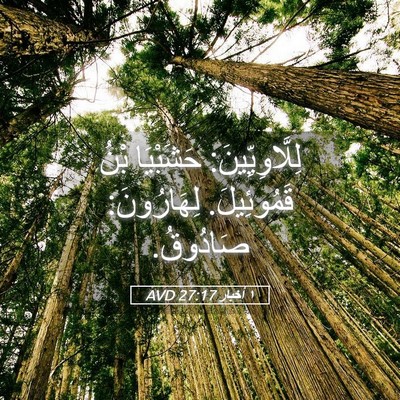 Picture 05 - ١ أخبار 27:17 AVD - لِلَّاوِيِّينَ: حَشَبْيَا - Bible Verse Picture