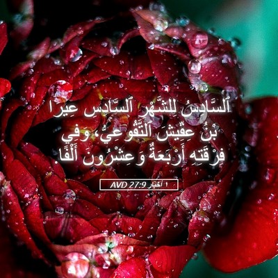 Picture 05 - ١ أخبار 27:9 AVD - ٱلسَّادِسُ لِلشَّهْرِ - Bible Verse Picture