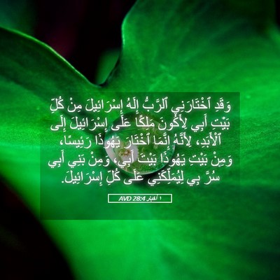 Picture 05 - ١ أخبار 28:4 AVD - وَقَدِ ٱخْتَارَنِي - Bible Verse Picture
