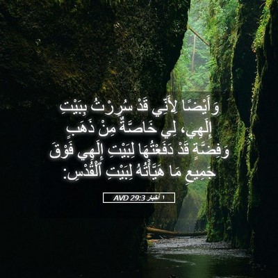 Picture 05 - ١ أخبار 29:3 AVD - وَأَيْضًا لِأَنِّي قَدْ - Bible Verse Picture
