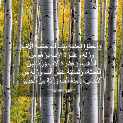 Picture 05 - ١ أخبار 29:7 AVD - وَأَعْطَوْا لِخِدْمَةِ - Bible Verse Picture