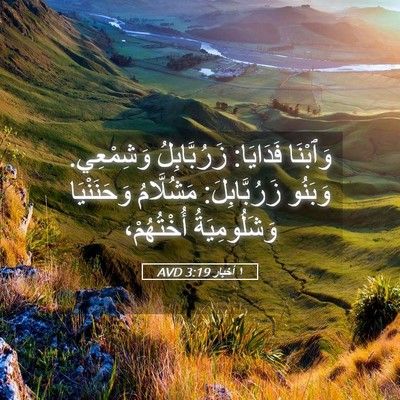 Picture 05 - ١ أخبار 3:19 AVD - وَٱبْنَا فَدَايَا: - Bible Verse Picture
