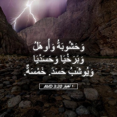 Picture 05 - ١ أخبار 3:20 AVD - وَحَشُوبَةُ وَأُوهَلُ - Bible Verse Picture