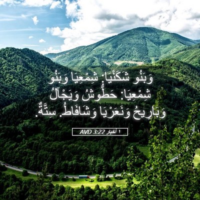 Picture 05 - ١ أخبار 3:22 AVD - وَبَنُو شَكَنْيَا: - Bible Verse Picture