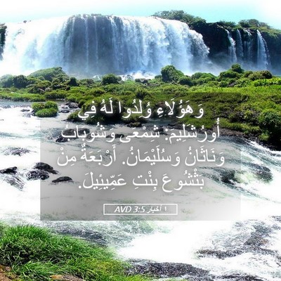 Picture 05 - ١ أخبار 3:5 AVD - وَهَؤُلَاءِ وُلِدُوا لَهُ - Bible Verse Picture