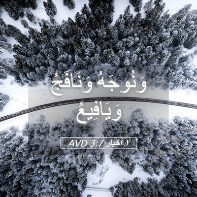 Picture 05 - ١ أخبار 3:7 AVD - وَنُوجَهُ وَنَافَجُ - Bible Verse Picture