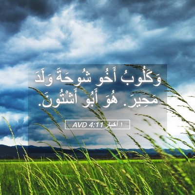 Picture 05 - ١ أخبار 4:11 AVD - وَكَلُوبُ أَخُو شُوحَةَ - Bible Verse Picture