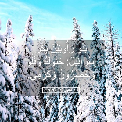 Picture 05 - ١ أخبار 5:3 AVD - بَنُو رَأُوبَيْنَ بِكْرِ - Bible Verse Picture