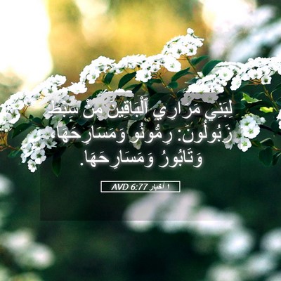 Picture 05 - ١ أخبار 6:77 AVD - لِبَنِي مَرَارِي - Bible Verse Picture