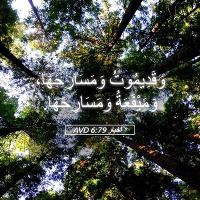 Picture 05 - ١ أخبار 6:79 AVD - وَقَدِيمُوتُ - Bible Verse Picture