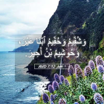 Picture 05 - ١ أخبار 7:12 AVD - وَشُفِّيمُ وَحُفِّيمُ - Bible Verse Picture