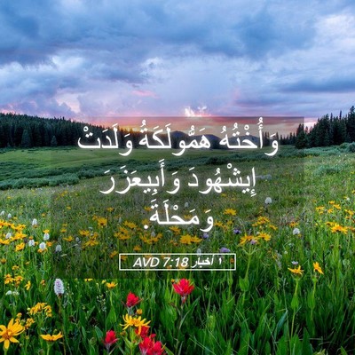 Picture 05 - ١ أخبار 7:18 AVD - وَأُخْتُهُ هَمُّولَكَةُ - Bible Verse Picture