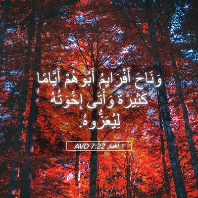 Picture 05 - ١ أخبار 7:22 AVD - وَنَاحَ أَفْرَايِمُ - Bible Verse Picture