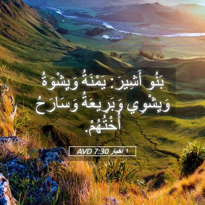 Picture 05 - ١ أخبار 7:30 AVD - بَنُو أَشِيرَ: يَمْنَةُ - Bible Verse Picture