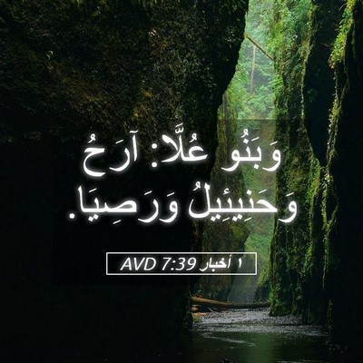 Picture 05 - ١ أخبار 7:39 AVD - وَبَنُو عُلَّا: آرَحُ - Bible Verse Picture