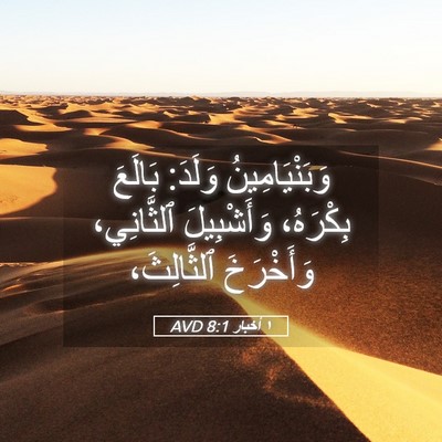 Picture 05 - ١ أخبار 8:1 AVD - وَبَنْيَامِينُ وَلَدَ: - Bible Verse Picture