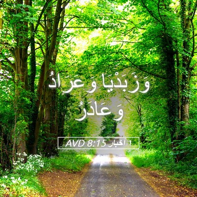 Picture 05 - ١ أخبار 8:15 AVD - وَزَبَدْيَا وَعَرَادُ - Bible Verse Picture
